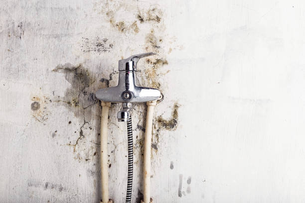Best HVAC Mold Remediation in Springfield, OH