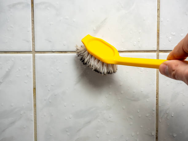 Best Mold Remediation for Schools in Springfield, OH