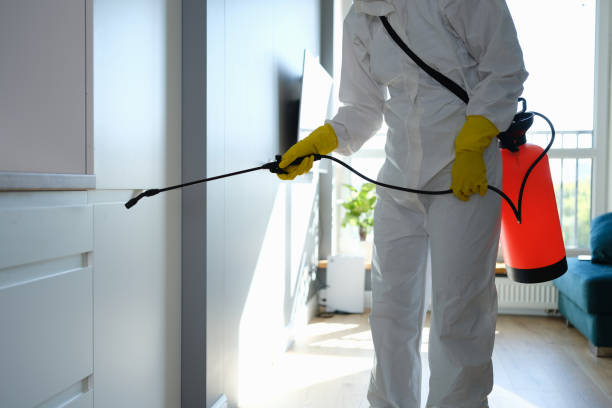 Best Residential Mold Remediation in Springfield, OH